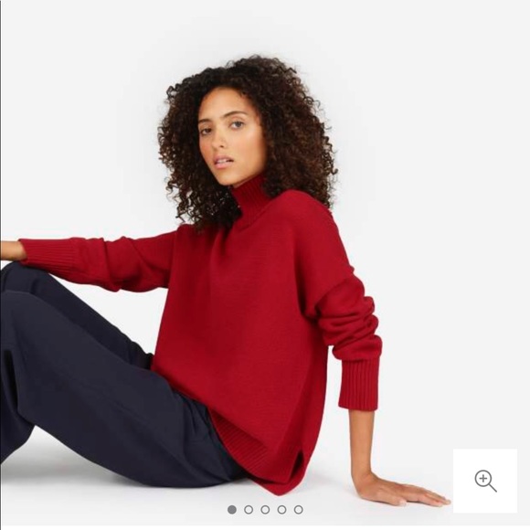 everlane turtleneck